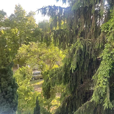 Room, комната, Miedzy Airport Wro A Centrum Apartman *